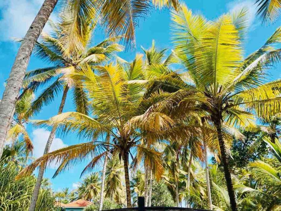 Palm House - Luxury Villa - Samana - Ocean Front Санчес Экстерьер фото