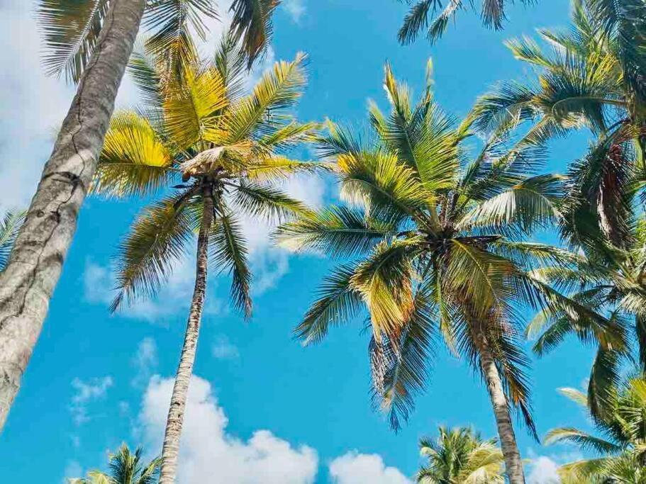 Palm House - Luxury Villa - Samana - Ocean Front Санчес Экстерьер фото