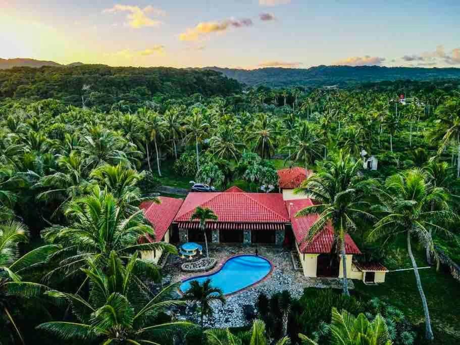 Palm House - Luxury Villa - Samana - Ocean Front Санчес Экстерьер фото