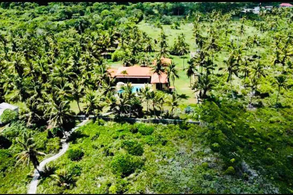 Palm House - Luxury Villa - Samana - Ocean Front Санчес Экстерьер фото