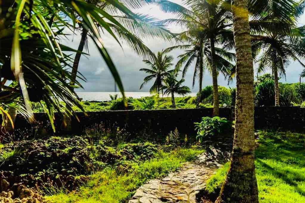 Palm House - Luxury Villa - Samana - Ocean Front Санчес Экстерьер фото