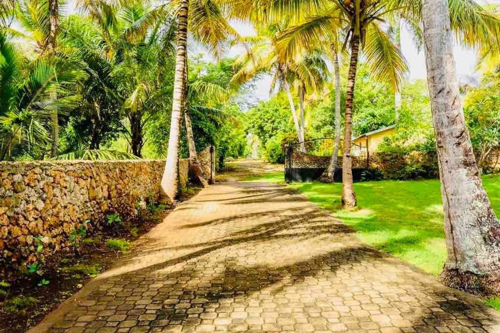 Palm House - Luxury Villa - Samana - Ocean Front Санчес Экстерьер фото