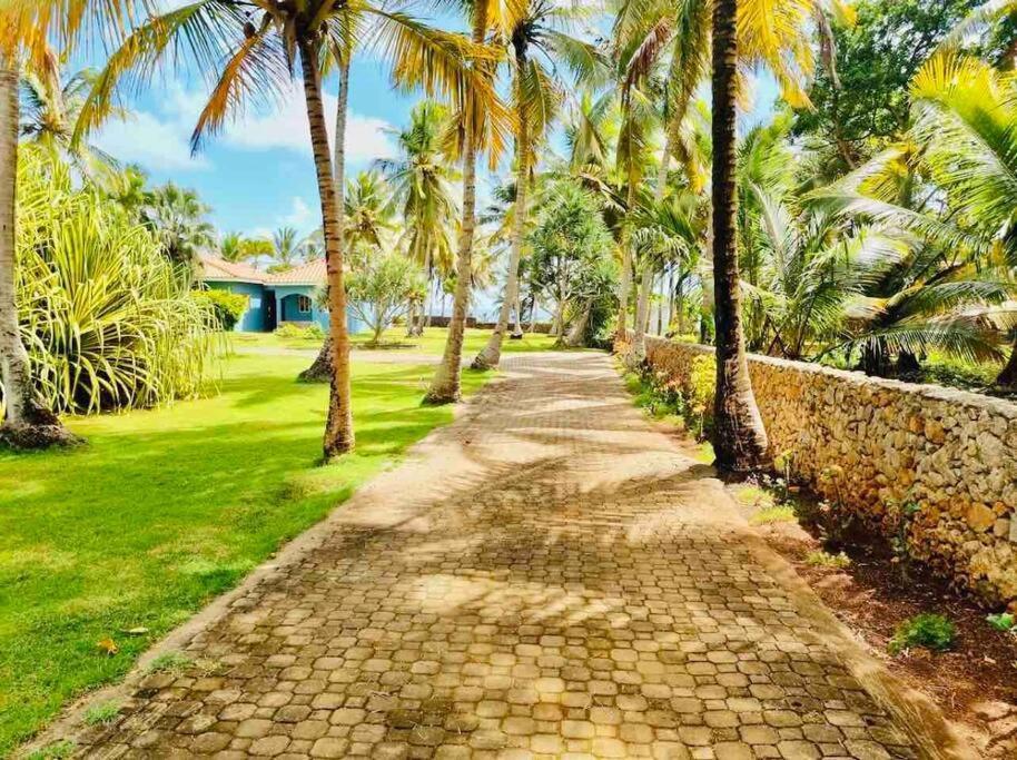 Palm House - Luxury Villa - Samana - Ocean Front Санчес Экстерьер фото