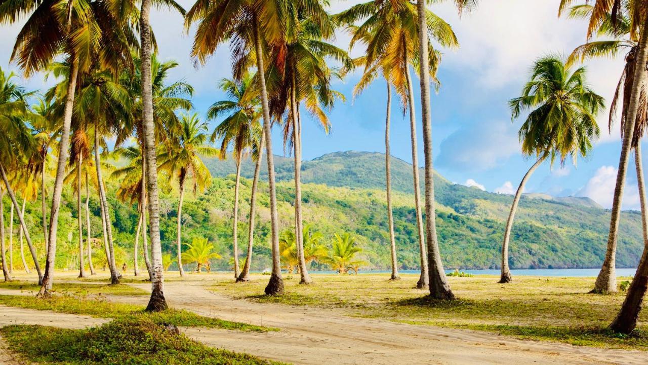 Palm House - Luxury Villa - Samana - Ocean Front Санчес Экстерьер фото