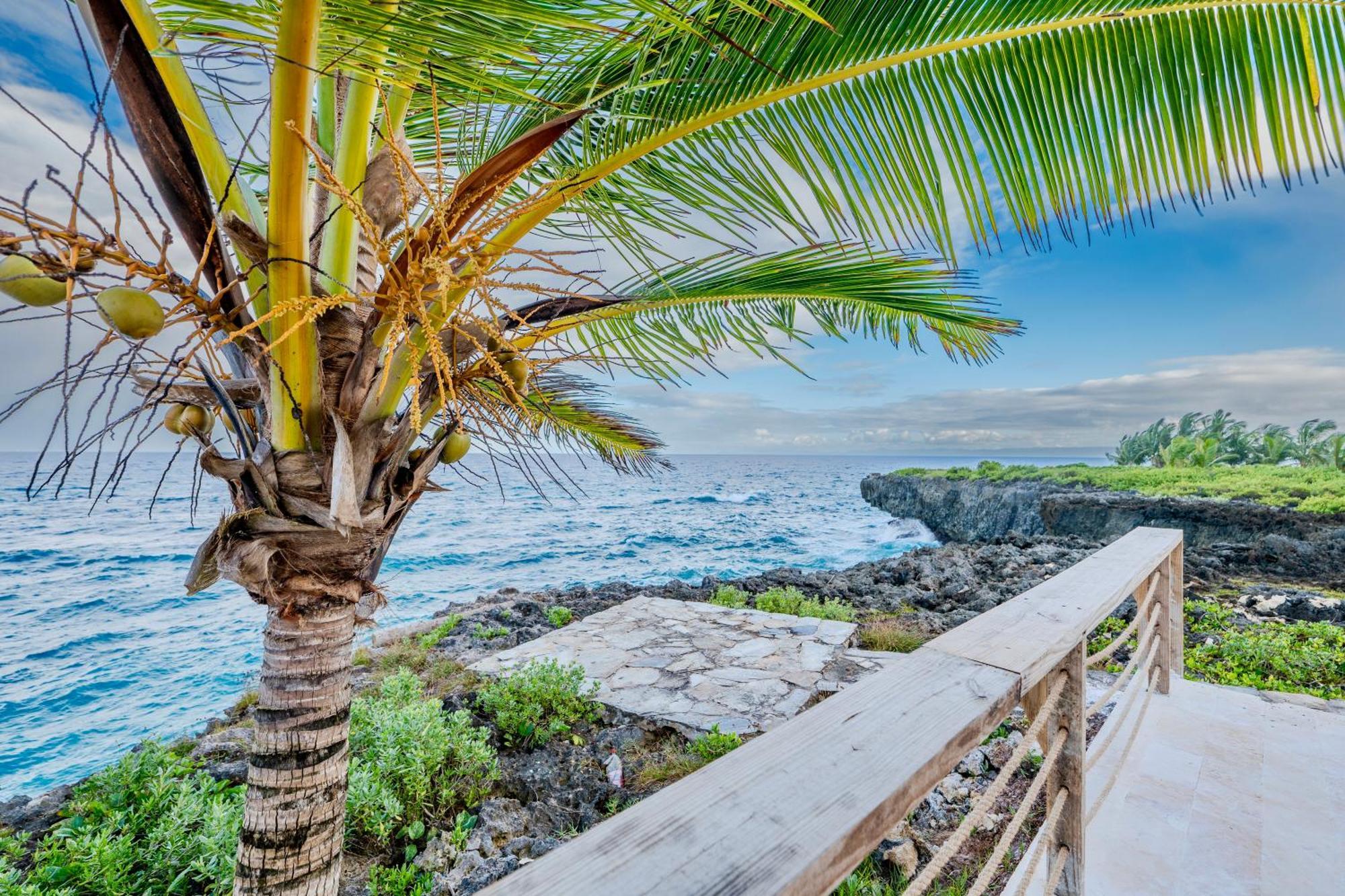 Palm House - Luxury Villa - Samana - Ocean Front Санчес Экстерьер фото